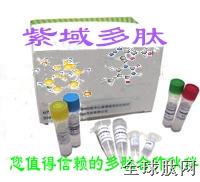 上海紫域生物公司提供高质量多肽合成服务