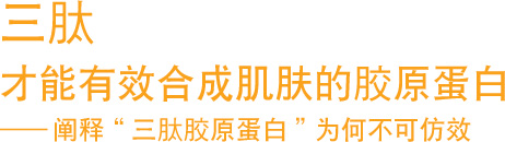 三肽:才能有效合成肌肤的胶原蛋白三肽—阐释“三肽胶原蛋白”为何不可仿效