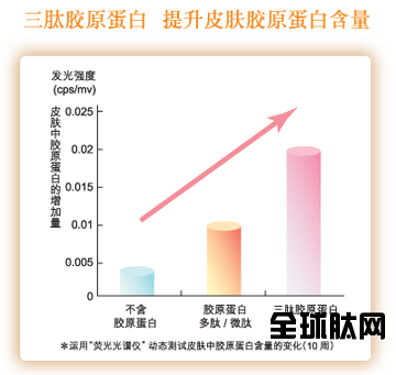 三肽胶原蛋白  提升皮肤胶原蛋白含量