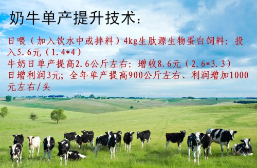 高蛋白 高能量 高消化 生肽源奶牛生物蛋白饲料