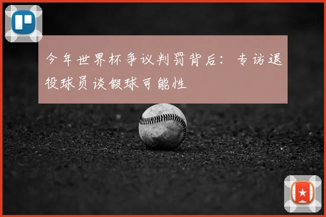 今年世界杯争议判罚背后:专访退役球员谈假球可能性