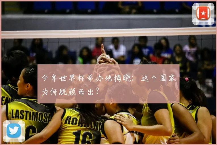 今年世界杯举办地揭晓:这个国家为何脱颖而出?