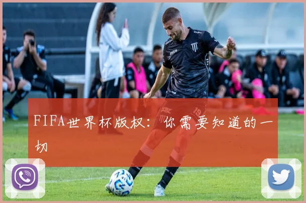 FIFA世界杯版权:你需要知道的一切