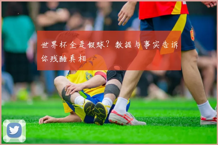 世界杯全是假球?数据与事实告诉你残酷真相