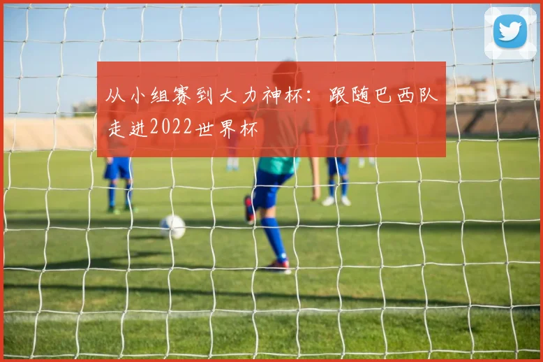从小组赛到大力神杯:跟随巴西队走进2022世界杯