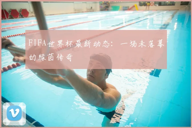 FIFA世界杯最新动态:一场未落幕的绿茵传奇