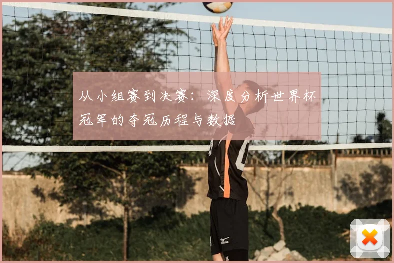 从小组赛到决赛：深度分析世界杯冠军的夺冠历程与数据