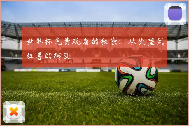 世界杯免费观看的秘密：从失望到狂喜的转变