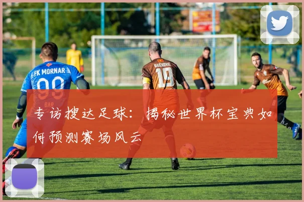 专访搜达足球：揭秘世界杯宝典如何预测赛场风云