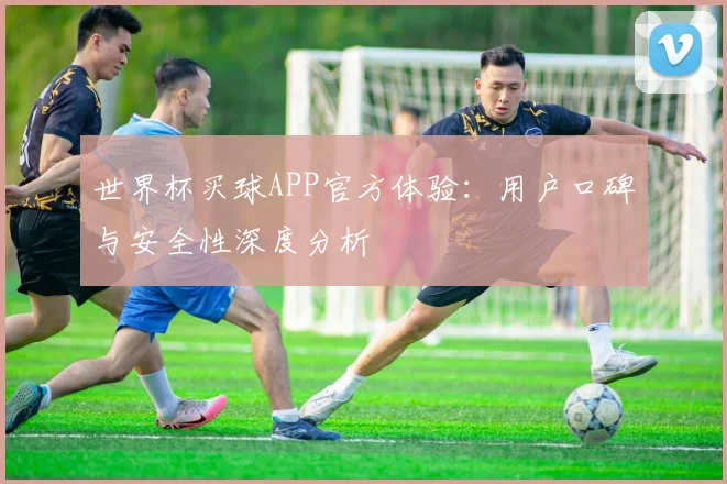 世界杯买球APP官方体验：用户口碑与安全性深度分析